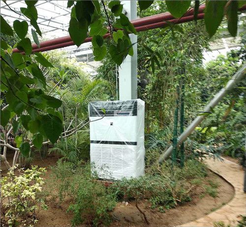格力中央空调 热带植物馆十匹风柜安装项目